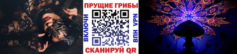 Псилоцибиновые грибы ЛСД  где купить наркоту  Александровское 